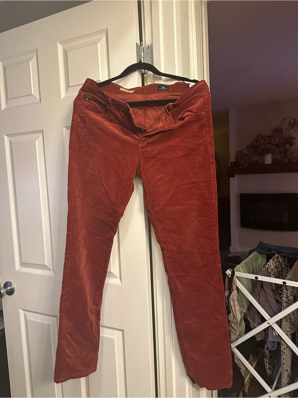 AG The Stevie Rust Corduroy Straight Pants 31R